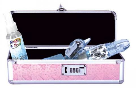 Lockable Vibe Case Pink