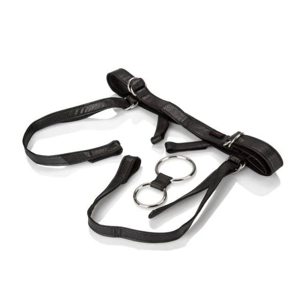 Her Royal Harness Duchess Black Boxed