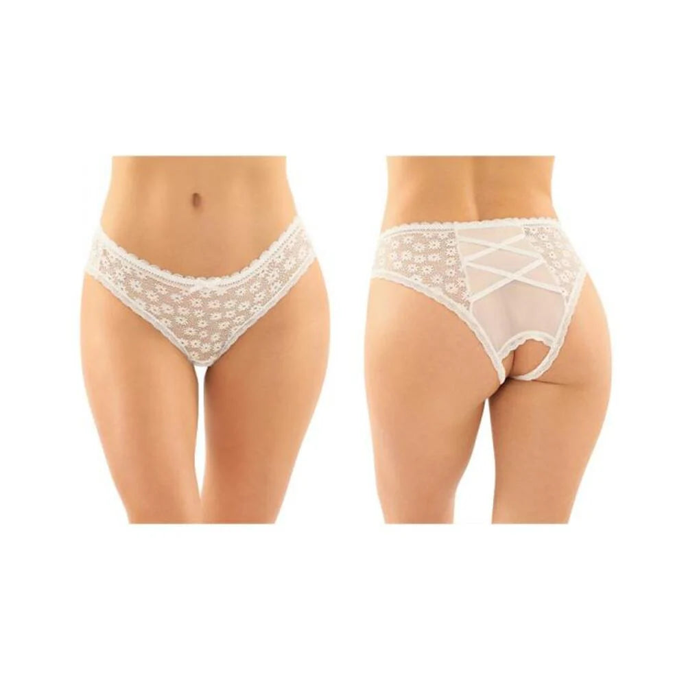 Daisy Crotchless Lace And Mesh Panty With Criss-cross Panel Back 6-pack L/xl White