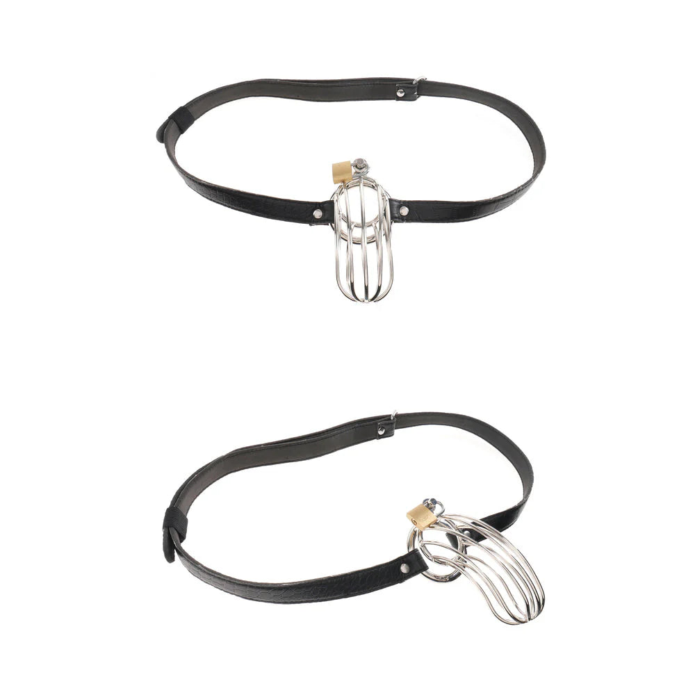 Fetish Fantasy The Prisoner Black Cock Cage