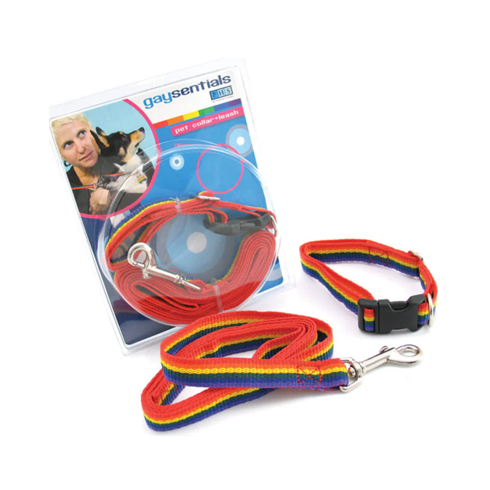 Gs Pet Combo Leash/collar (medium)