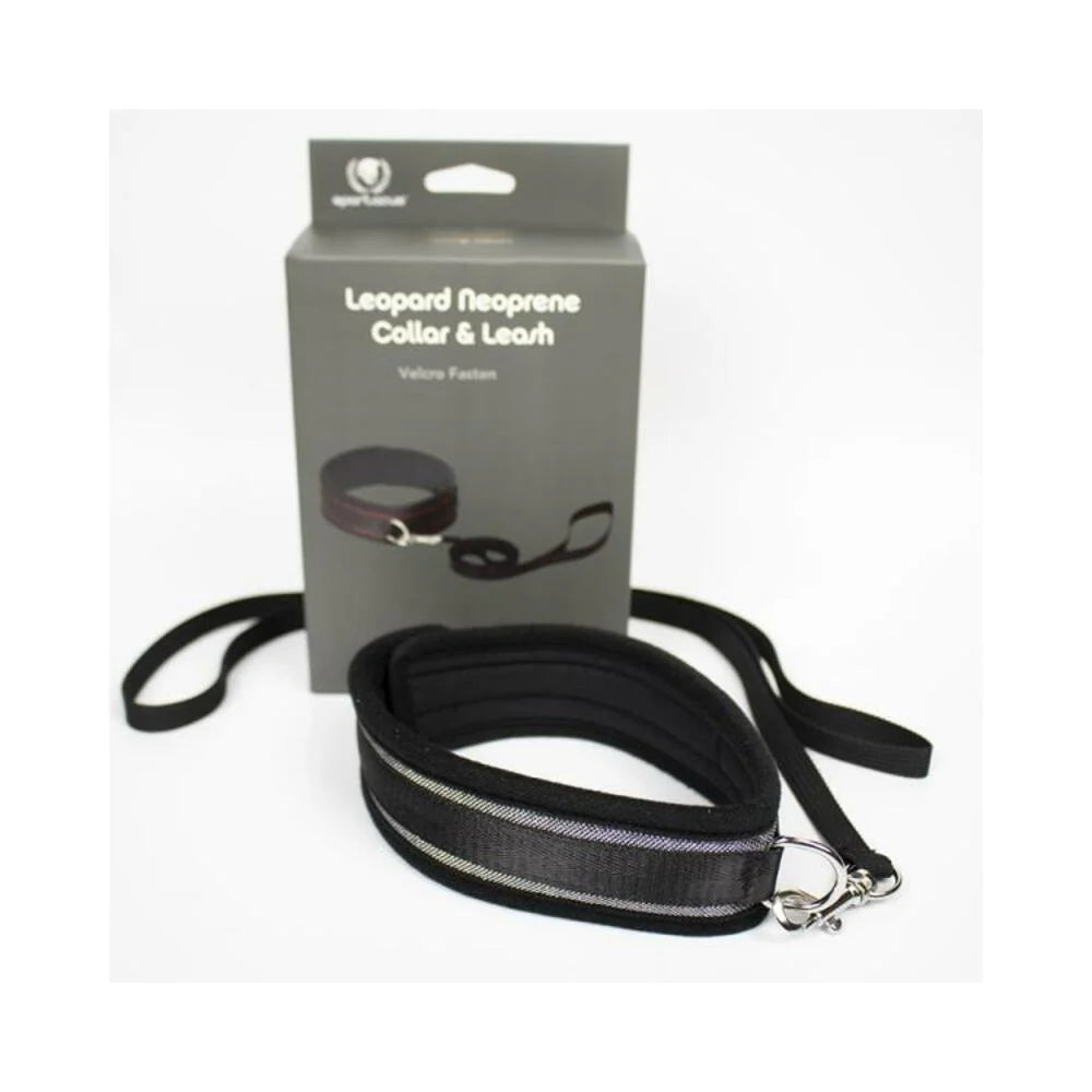 Spartacus Collar And Leash Neoprene Silver