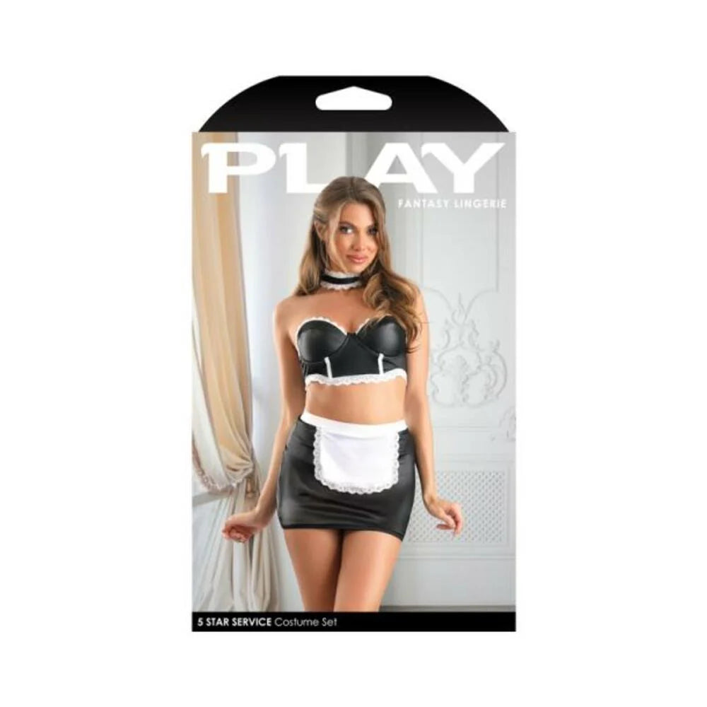Fantasy Lingerie Play 5-star Service Wetlook Bustier, Adjustable Open Back Spanking Skirt, G-string