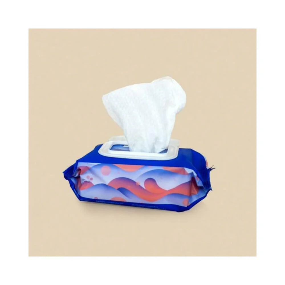 Dame Body Wipes 25 ct