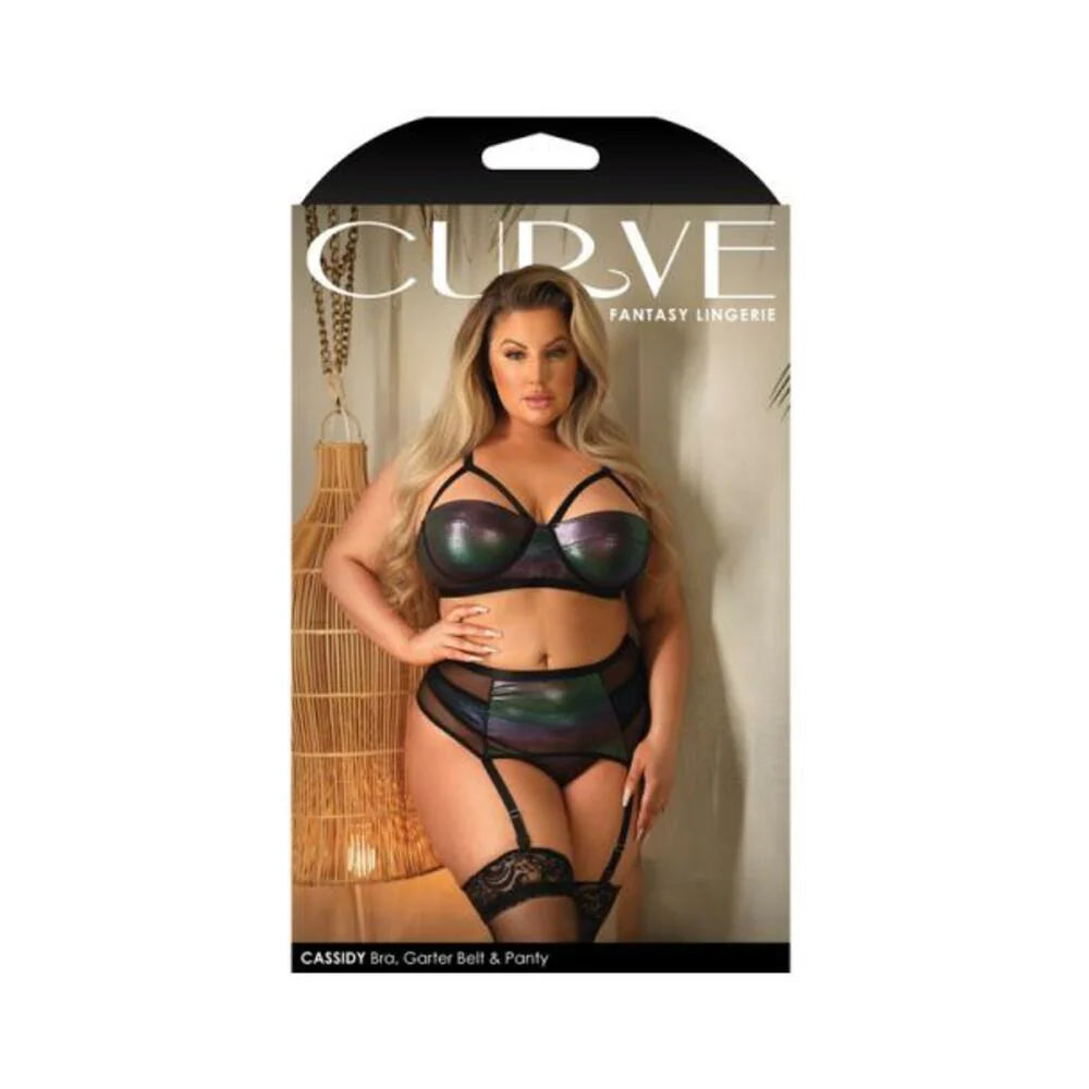 Fantasy Lingerie Curve Cassidy Cage Bra, Garter Belt & Panty Black 1xl/2xl