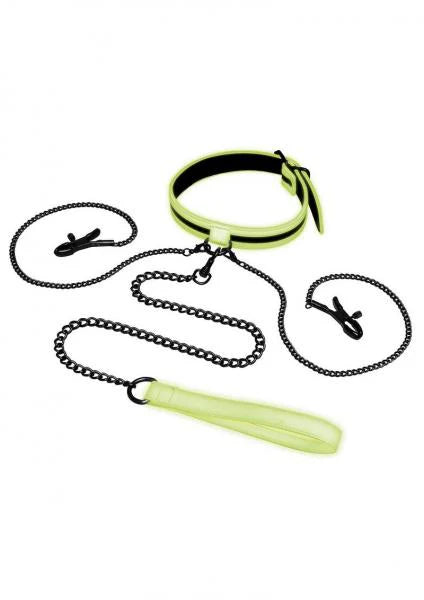 Whipsmart Gitd Collar Nipple Clip Leash