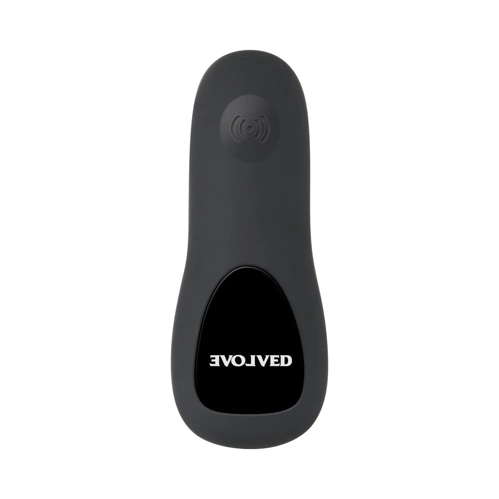 Evolved Plug&Play