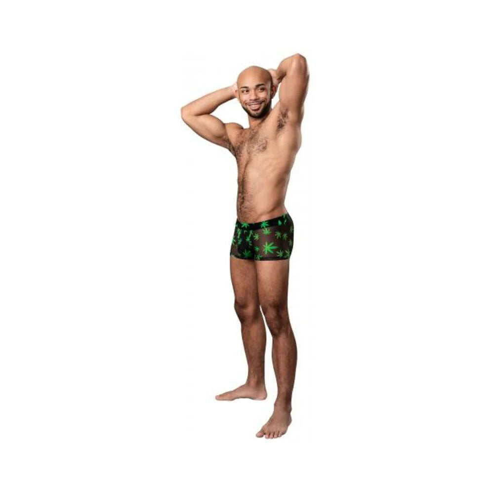 Hazy Dayz Pouch Short Potleaf Small