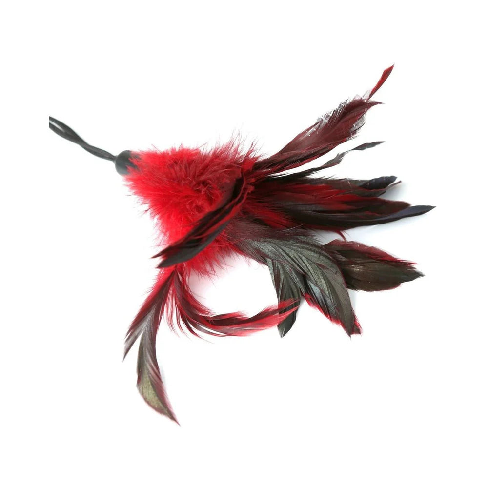 Pleasure Feather Tickler